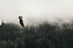 kea-mowat-fM2aOezzEoQ-unsplash